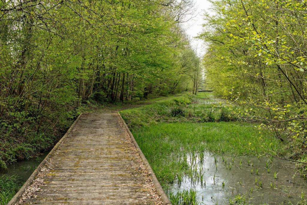 Entre Nous Rozoy-sur-Serre Exterior foto